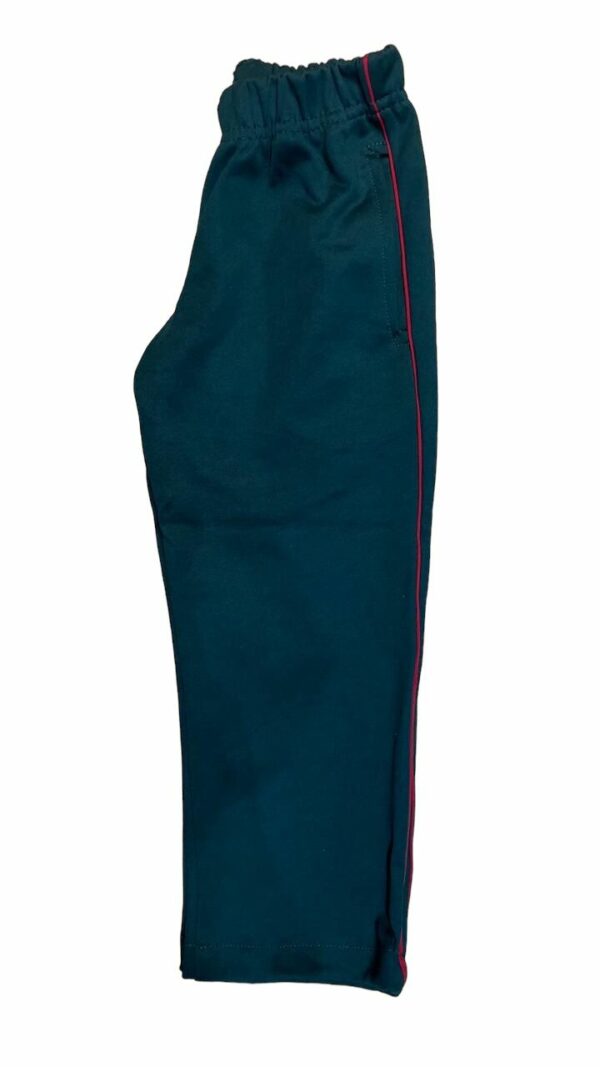 PANTALON VERDE JARDIN DE PALERMO