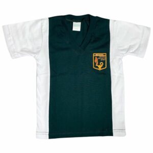 REMERA DEP VERDE IJSGaynor - Imagen 2