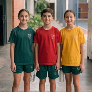 REMERA CASAS ROJA/VERDE/AMARILLA