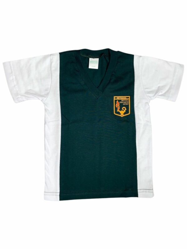 REMERA DEP VERDE IJSGaynor