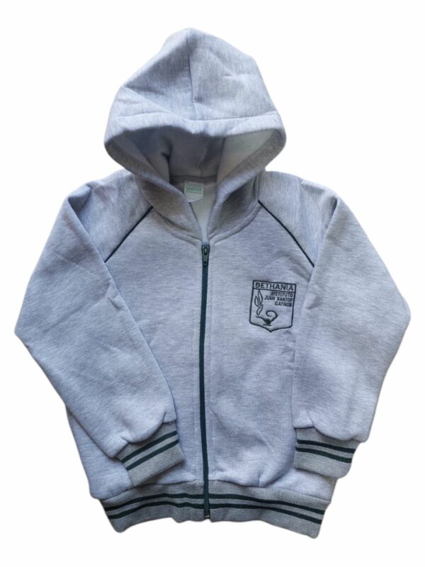 CAMPERA DEP GRIS IJSGaynor